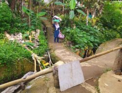 Pergerakan Tanah di Desa Sukamaju, Ciamis, Retakkan Sejumlah Rumah Warga