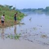 Fenomena Bladu di Sungai Bengawan Solo: Warga Ramai-ramai Mencari Ikan