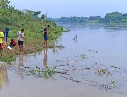 Fenomena Bladu di Sungai Bengawan Solo: Warga Ramai-ramai Mencari Ikan