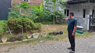 referensi gambar dari (www.detik.com)
