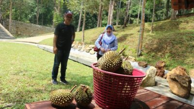 referensi gambar dari (2.bp.blogspot.com)