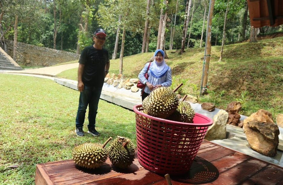 referensi gambar dari (2.bp.blogspot.com)