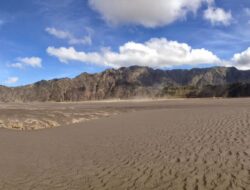 Agen Travel di Probolinggo Nekat Bawa Rombongan Elf ke Lautan Pasir Bromo, Minta Maaf