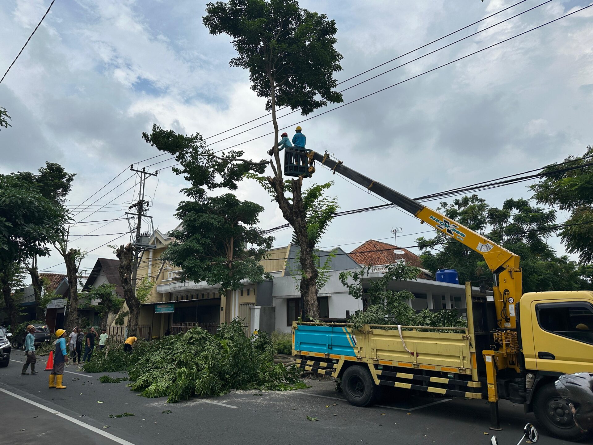 Kudus 11 April 2024 - PLN ULP (Unit Layanan Pelanggan) Kudus Kota rutin melaksanakan rabas atau pemangkasan dahan dan ranting pohon yang (Jurnalindo.com)