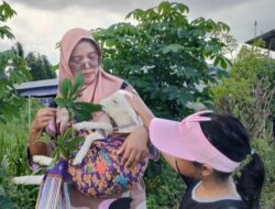 Viral! Emak-Emak di Kulon Progo Gendong Anak Domba Mirip Bayi, Warganet Terhibur