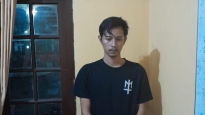 referensi gambar dari (www.detik.com)