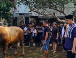 Anies Baswedan Kurban Sapi di DPP PKS, HNW: Ini Tradisi Tahunan
