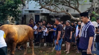 Anies Baswedan Kurban Sapi di DPP PKS, HNW: Ini Tradisi Tahunan