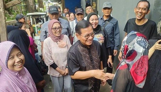 Pranomo Agung Bicara PLTS (Sumber Foto. Tribunnews.Com)