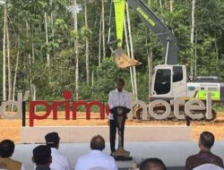 Investor Asing Mulai Masuk ke Proyek IKN, Delonix Group Jadi Perintis