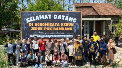 Kelompok KKN 20 UMK di Desa Prigi Kembangkan Kebun Jeruk Menjadi Destinasi Agrowisata
