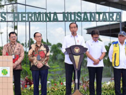 Jokowi Desak Prabowo Lanjutkan Pembangunan IKN Usai Purnatugas