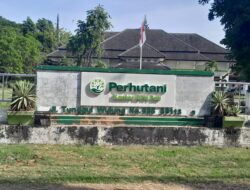 Illegal Logging di RPH Ngarengan, KPH Pati Sudah Koordinasi Dengan Polsek Dukuhseti