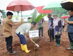 PJ Bupati Inginkan Pati Jadi Sentra Produksi Kelapa Kopyor Berkualitas tinggi.