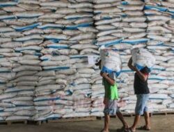 Persiapan Nataru 2025 Stok Beras di Bulog Dipastikan Aman