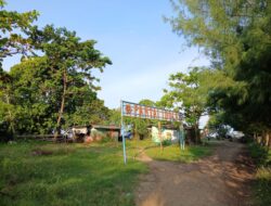 Pantai Idola Bangkit Sejenak Ketika Idul Adha