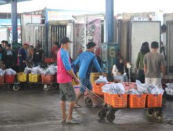 DKP Pati Raih Retribusi Rp 1,3 Miliar dari TPI, TPI Unit 2 Juwana Jadi Andalan Pendapatan