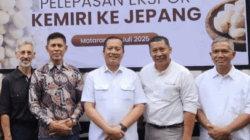 referensi gambar dari (www.detik.com)