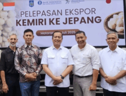5 Ton Kemiri Asal Bima, NTB Resmi Diekspor ke Jepang