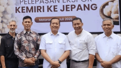 referensi gambar dari (www.detik.com)