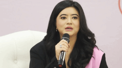 referensi gambar dari (media.suara.com)