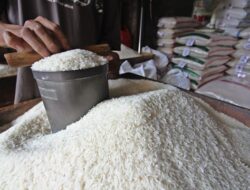 Harga Beras di Pati Tembus Rp15 Ribu per Kilogram, Pedagang Keluhkan Kenaikan di Tingkat Petani