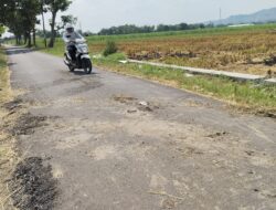 Baru Sebulan Diaspal, Jalan Alternatif Pati–Kudus Sudah Mengelupas! Warga Pertanyakan Kualitas Proyek