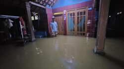 Banjir di Pati Makin Parah, 800 Rumah Terendam Akibat Tanggul Jebol Belum Diperbaiki
