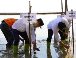 Bupati Pati Ajak Warga Banyutowo Tanam Mangrove, Dukung Program “Mageri Segoro