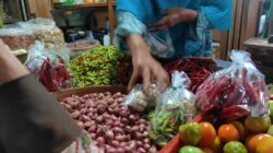 Harga Cabai di Pati Melonjak, Disdagperin Sebut Dampak Cuaca dan Banjir di Semarang