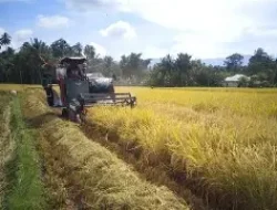 Said Didu Warning Serakahnomics: Oligarki Kian Mencengkeram, Negara Diminta Bergerak Lebih Berani