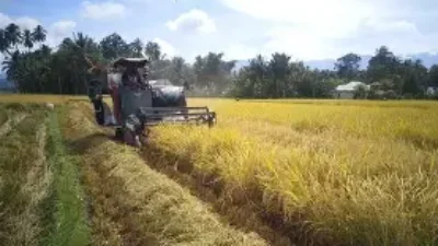 Aktivis nasional sekaligus mantan Sekretaris Kementerian BUMN, Said Didu, kembali mengingatkan bahaya praktik ekonomi (Sumber foto : Argoindonesia.id)