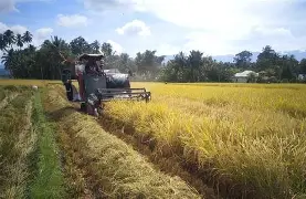 Aktivis nasional sekaligus mantan Sekretaris Kementerian BUMN, Said Didu, kembali mengingatkan bahaya praktik ekonomi (Sumber foto : Argoindonesia.id)
