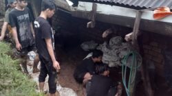 Belum Disentuh Bantuan, Warga Keboromo Gotong Royong Perbaiki Tanggul Jebol