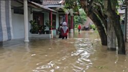 Banjir Parah Rendam Bumirejo Juwana, Ratusan Rumah Terendam, Logistik Menipis