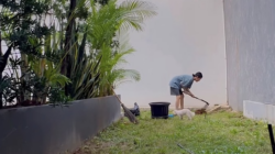 Dearly Djoshua Fokus Merawat Diri dan Menekuni Hobi Berkebun Usai Putus dari Ari Lasso