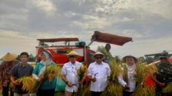 Di Balik Panen 10,28 Ton, Ketergantungan Pupuk Masih Jadi Catatan