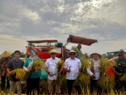 Di Balik Panen 10,28 Ton, Ketergantungan Pupuk Masih Jadi Catatan