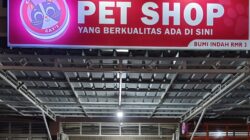 Bukan Soal Ras, Central Cat’s Tekankan Standar dan Tanggung Jawab dalam Pet Care