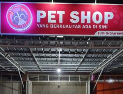Bukan Soal Ras, Central Cat’s Tekankan Standar dan Tanggung Jawab dalam Pet Care
