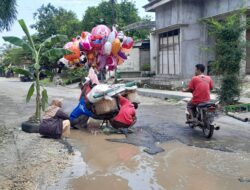 Viral Jalan Ditanami Pisang di Kayen, DPUTR Pati Segera Anggarkan Perbaikan