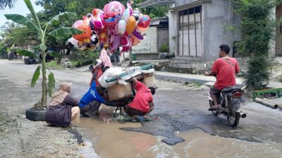 Viral Jalan Ditanami Pisang di Kayen, DPUTR Pati Segera Anggarkan Perbaikan