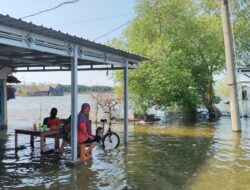 Rumah Terendam Setiap Hari, Siti Aminah Bertahan di Tengah Kepungan Rob