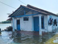 Rob Terjang Tunggulsari, Pemkab Pati Bangun Tanggul Darurat dan Minta Bantuan Pusat