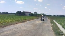 Jalan Alternatif Gabus–Winong Rusak dan Berlubang, DPUTR Pati Siapkan Rp1,5 Miliar