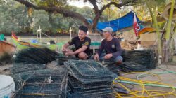 Harga Rajungan Melambung, Nelayan Keboromo Malah Rugi Rp 300 Ribu Sekali Melaut, Ada Apa?