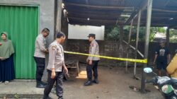 Bayi Perempuan Ditemukan dalam Kardus di Bengkel Ketanen Pati, Ari-ari Masih Menempel