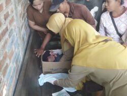 Pelaku Pembuang Bayi di Kardus Diburu, Polisi Periksa CCTV Bengkel di Pati