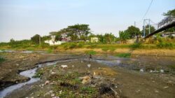 Sungai Silugonggo Mengering, Petani Pati Terancam Gagal Panen