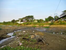 Sungai Silugonggo Mengering, Petani Pati Terancam Gagal Panen